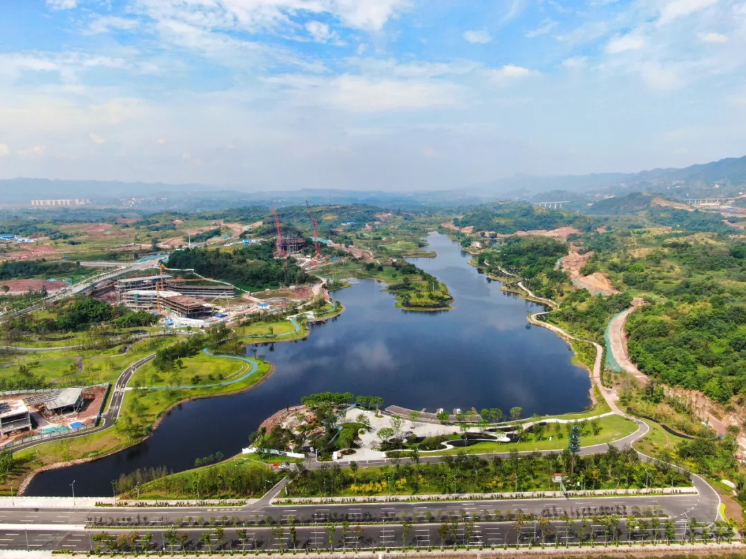 1607418837139887.jpg 10.webp.jpg