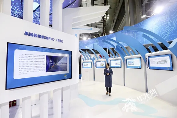 1607420001381648.jpg 12.webp.jpg