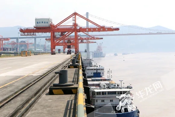 1607420042767730.jpg 14.webp.jpg