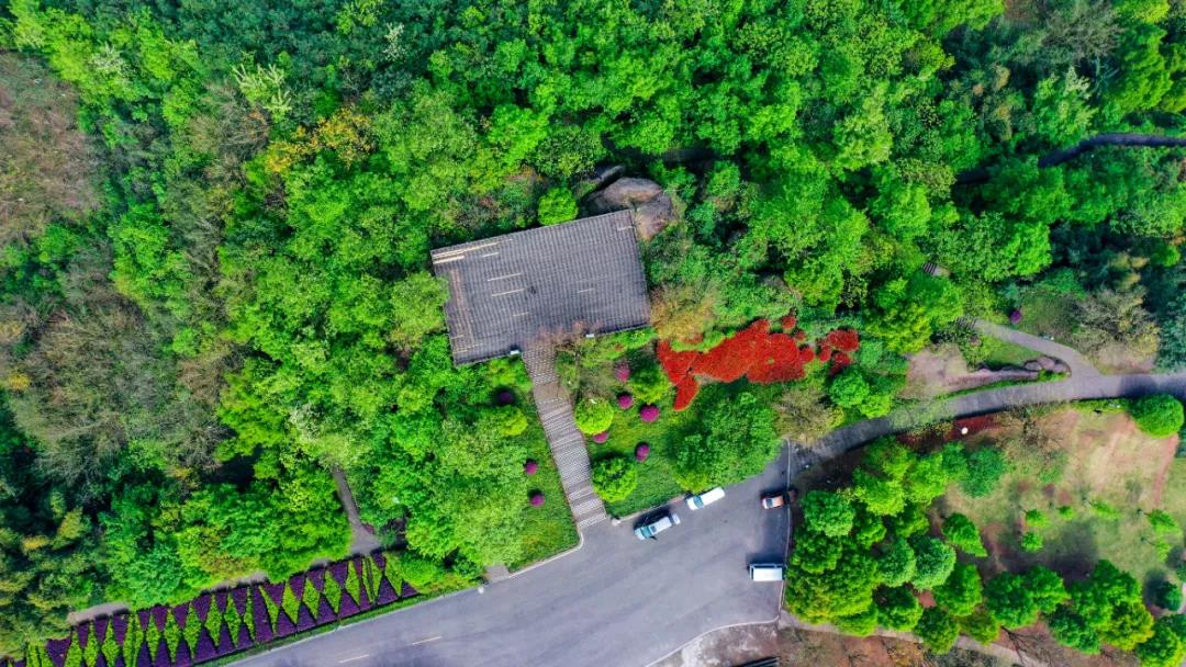 1611194449277382.jpg 微信圖片_20210121100044.jpg