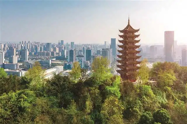 1624496957502632.jpg 640.webp (7).jpg