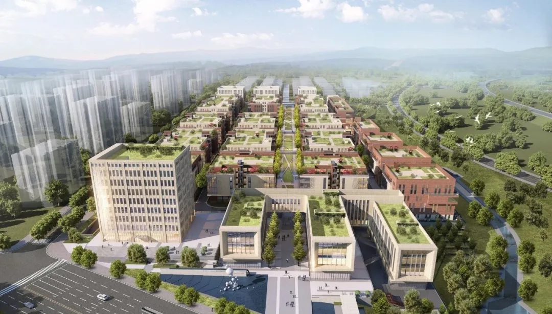 1625584416859088.jpg 640 (1).webp.jpg