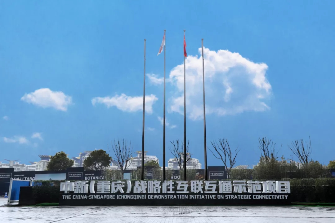 1625706845245768.jpg 640.webp (6).jpg