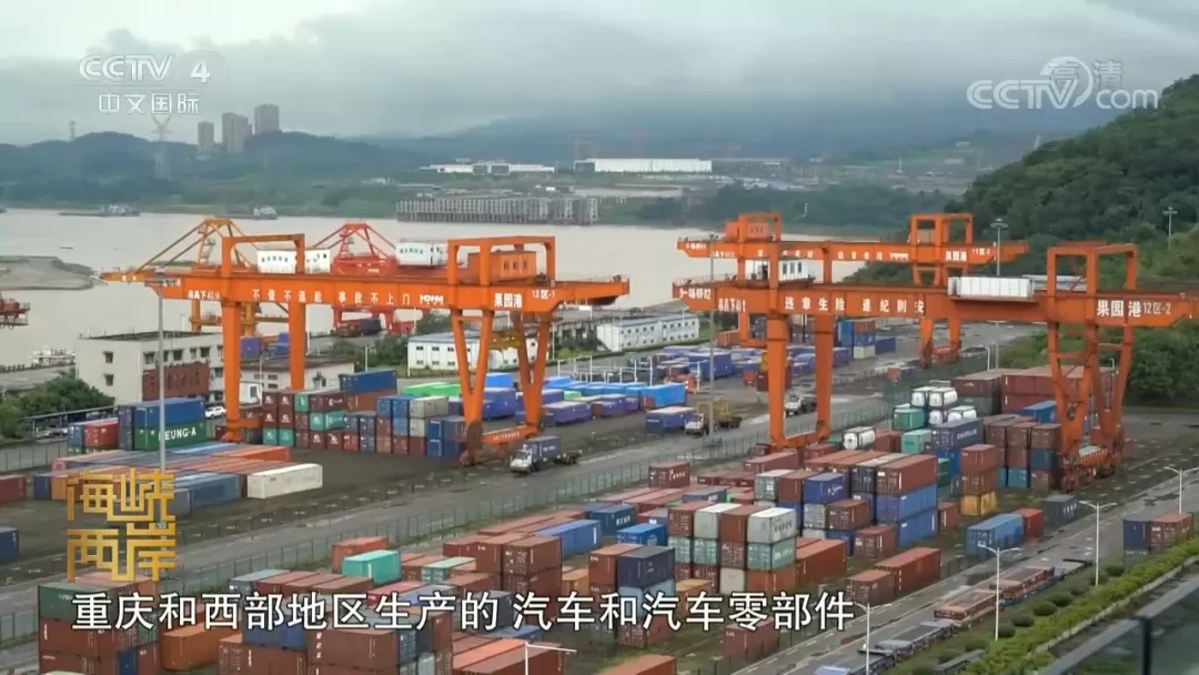 1627351461354663.jpg 640.webp (21).jpg