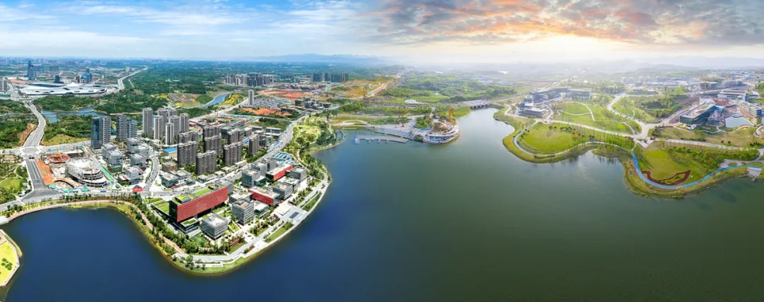 1631062417986278.jpg 640.webp (3).jpg