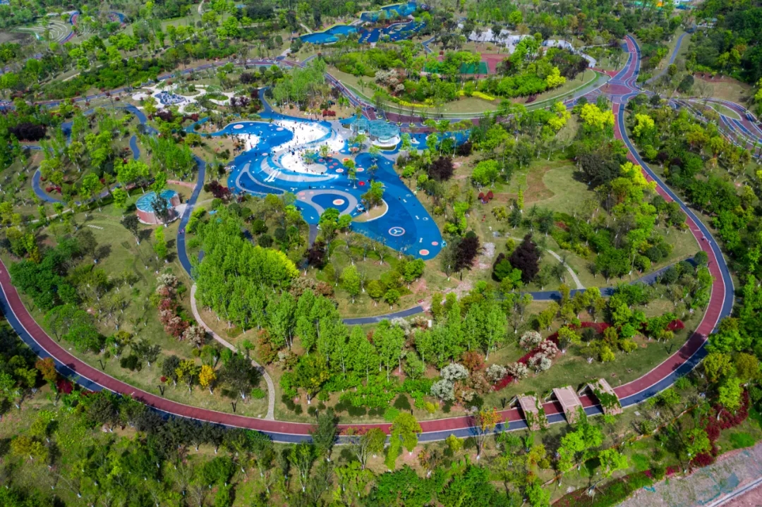 1631062423918716.jpg 640.webp (4).jpg