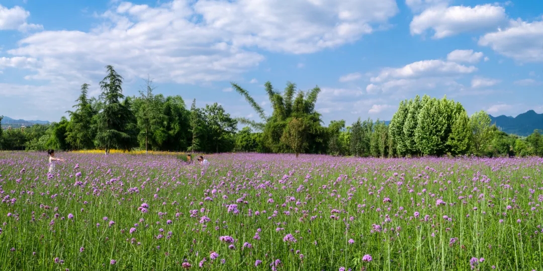 1633914909196869.jpg 640.webp (22).jpg