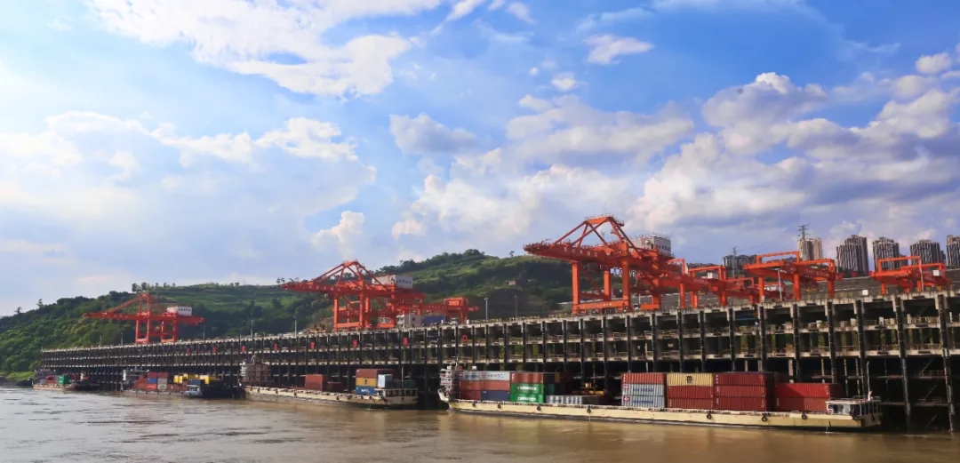 1636072743284987.jpg 640.webp (4).jpg