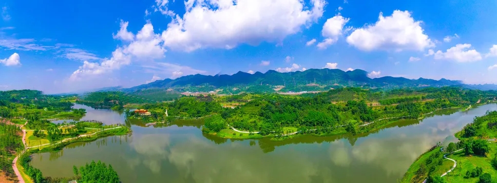 1638234023155688.jpg 640.webp.jpg