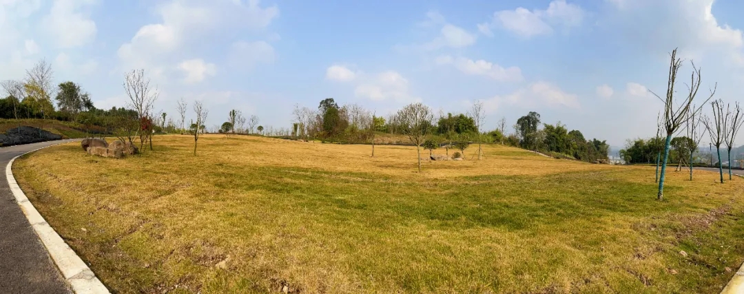 1642124431960106.jpg 640.webp (23).jpg