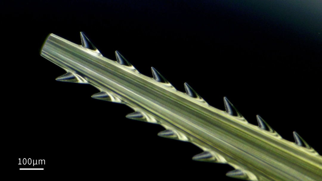 1648862359634541.png 640 (2).png