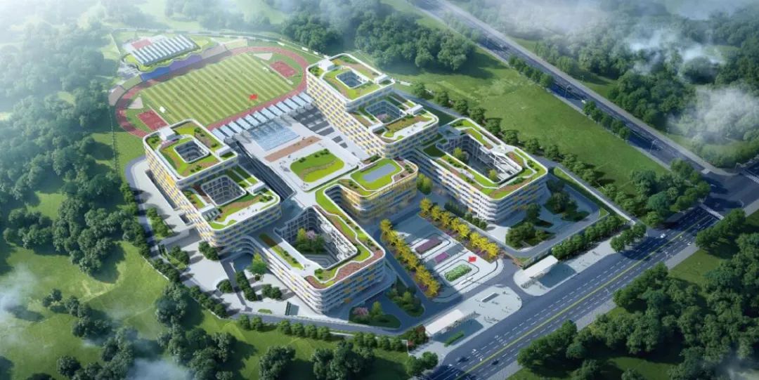 1659402325919912.jpg 7.jpg