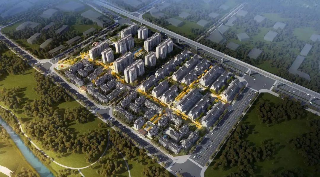 1666056151442890.jpg 2.jpg