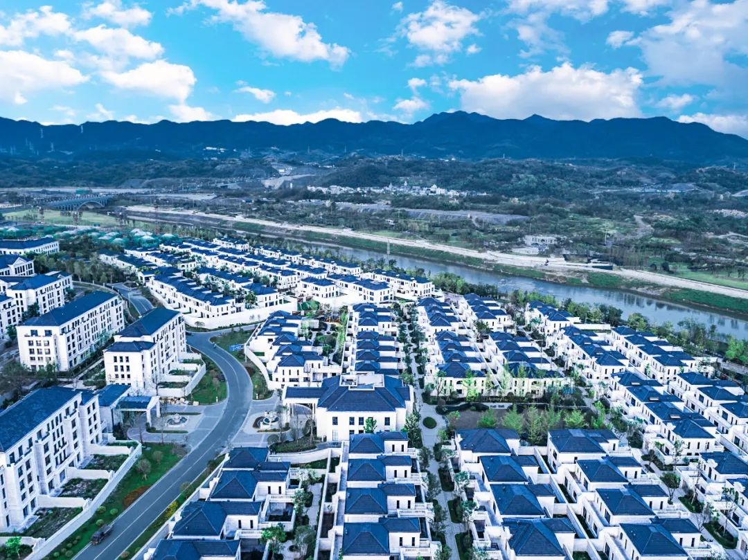 1689678018959131.jpg 640.jpg