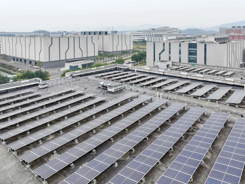 1704417627726551.jpg 1.jpg