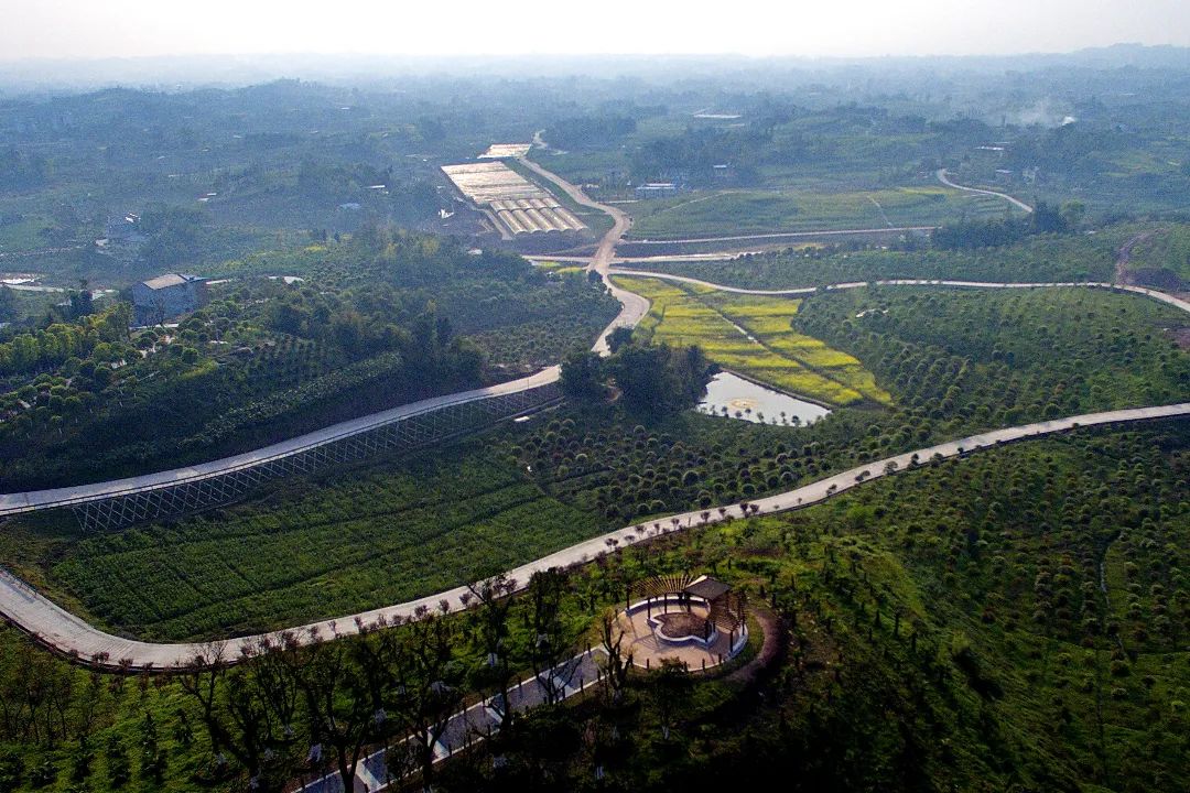 1712798676947318.jpg 微信圖片_20240411092425.jpg