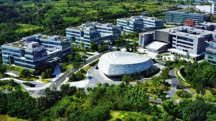 1715736083209309.jpg 1.jpg