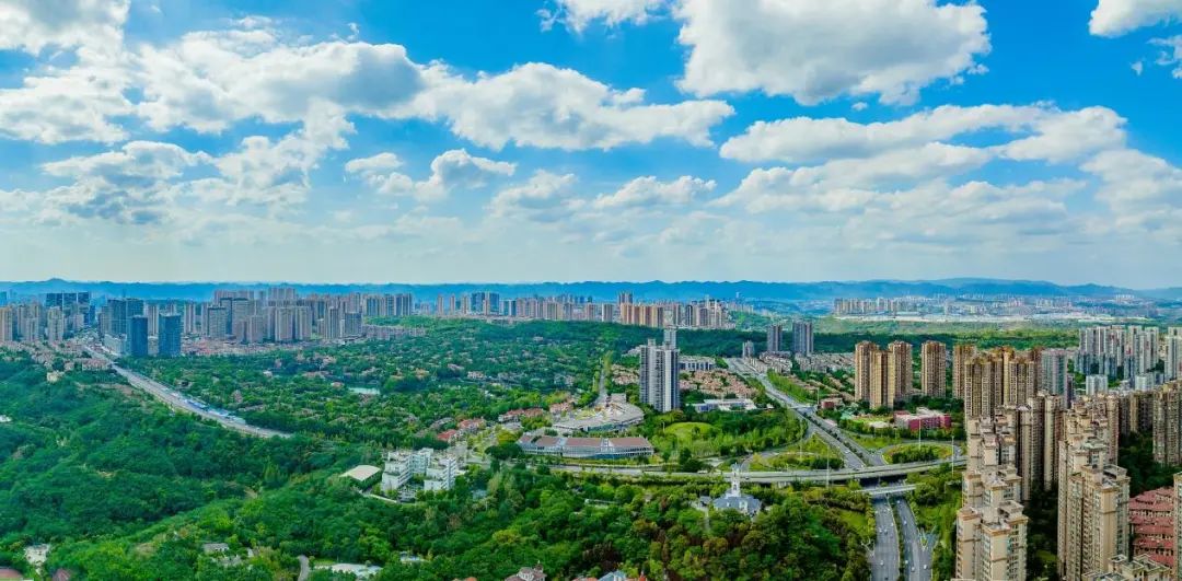 1716774130151097.jpg 1.jpg