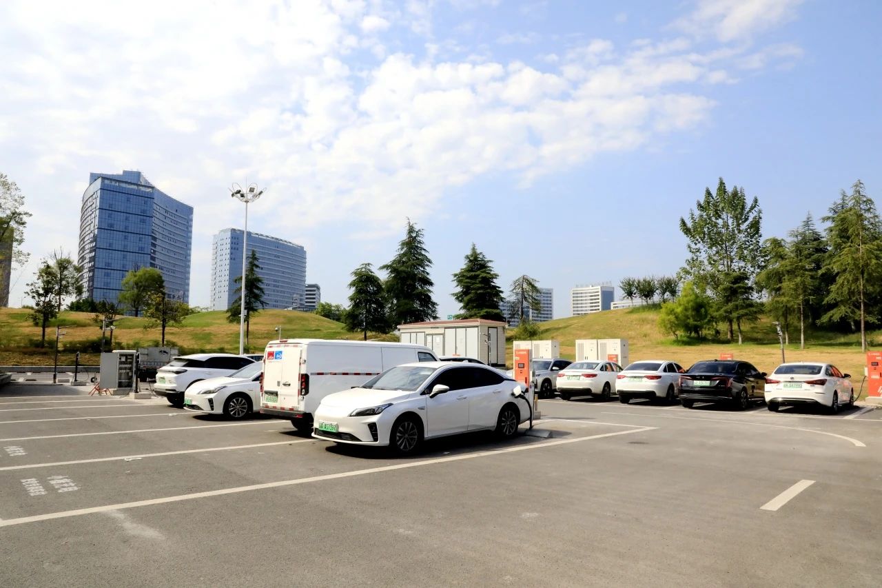 1726189763857063.jpg 5.jpg