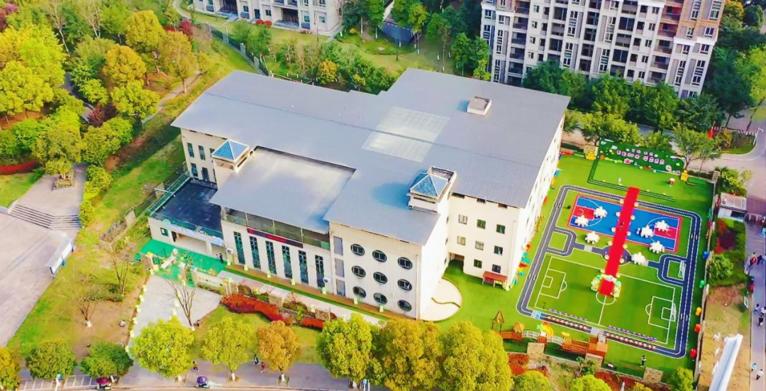 1728981582775227.png 1.png