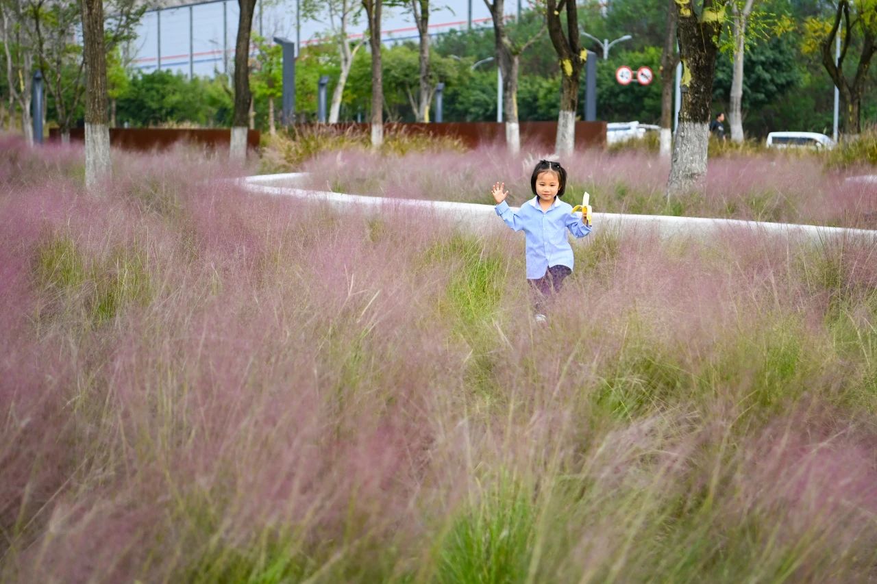 1729044922851198.jpg 微信圖片_20241016101554.jpg