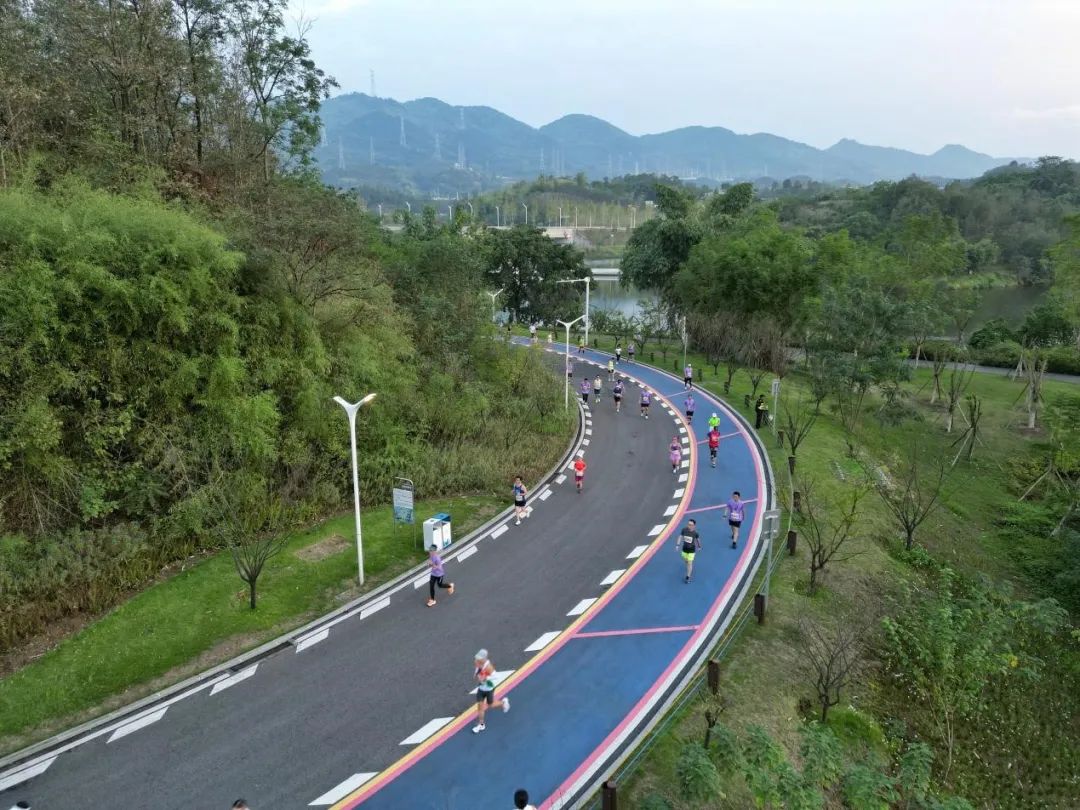 1729563464454368.jpg 12.jpg