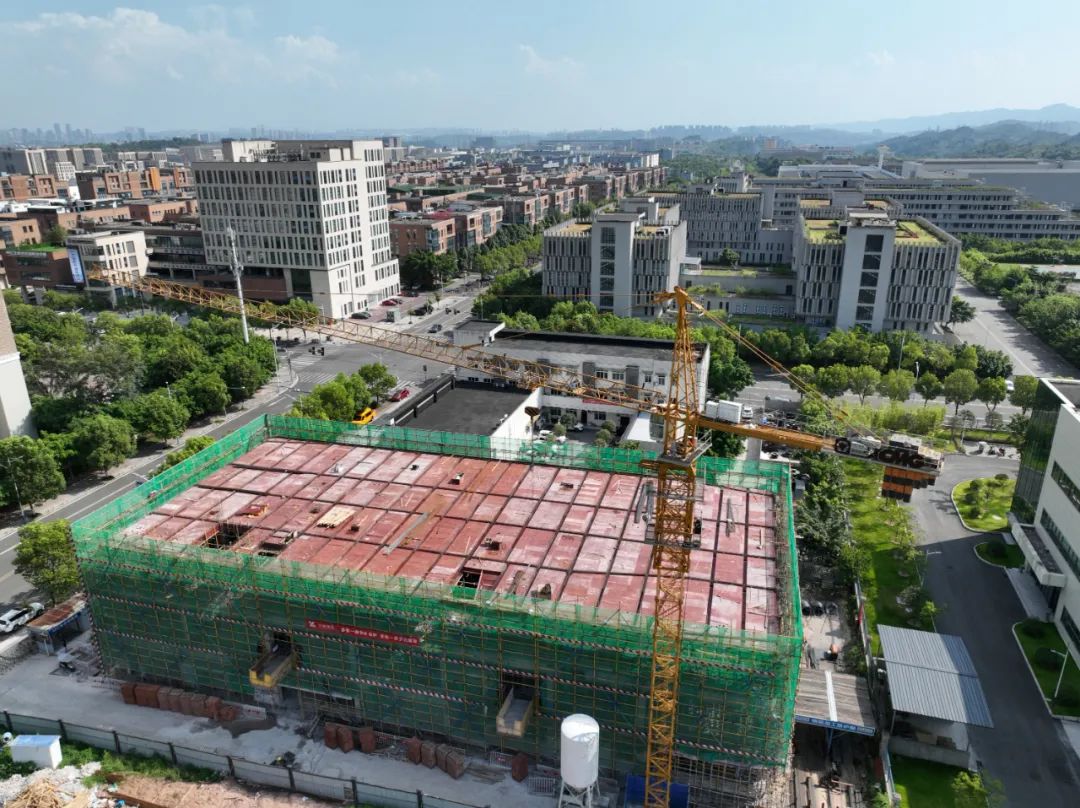 1731030541329545.jpg 6.jpg