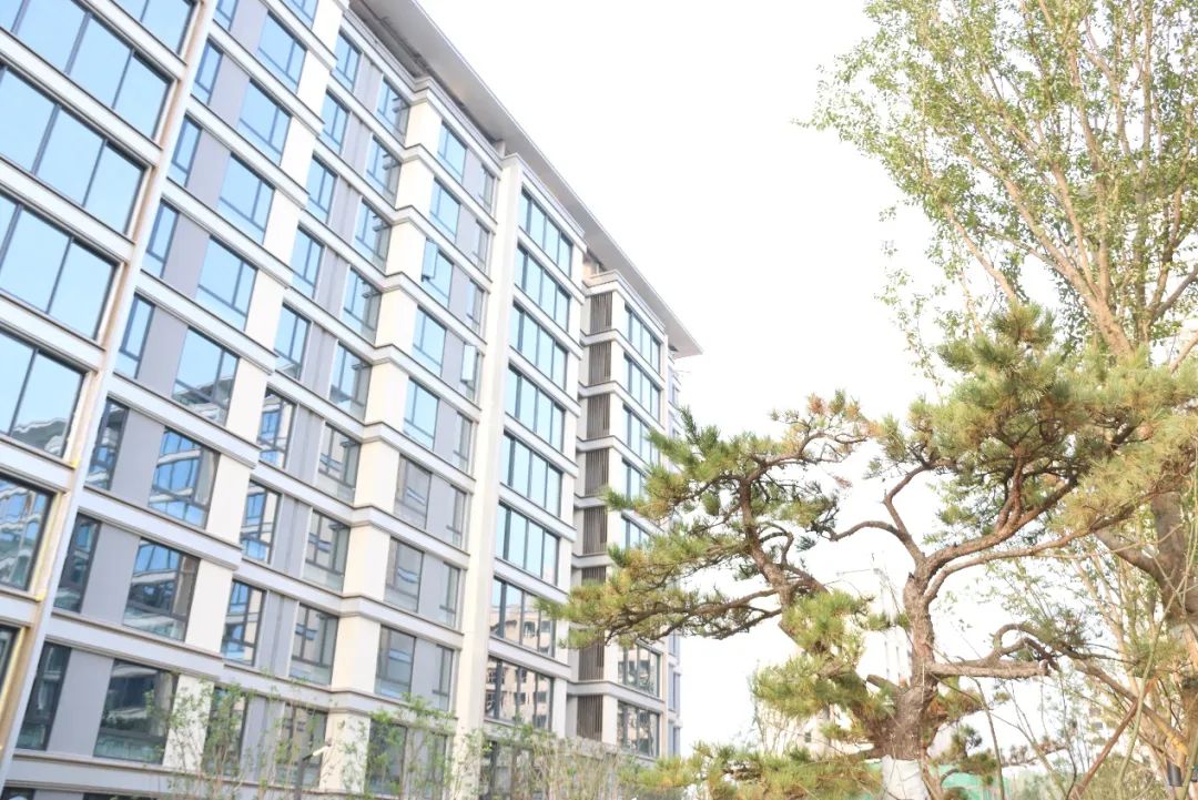 1732238874248500.jpg 微信圖片_20241122092457.jpg