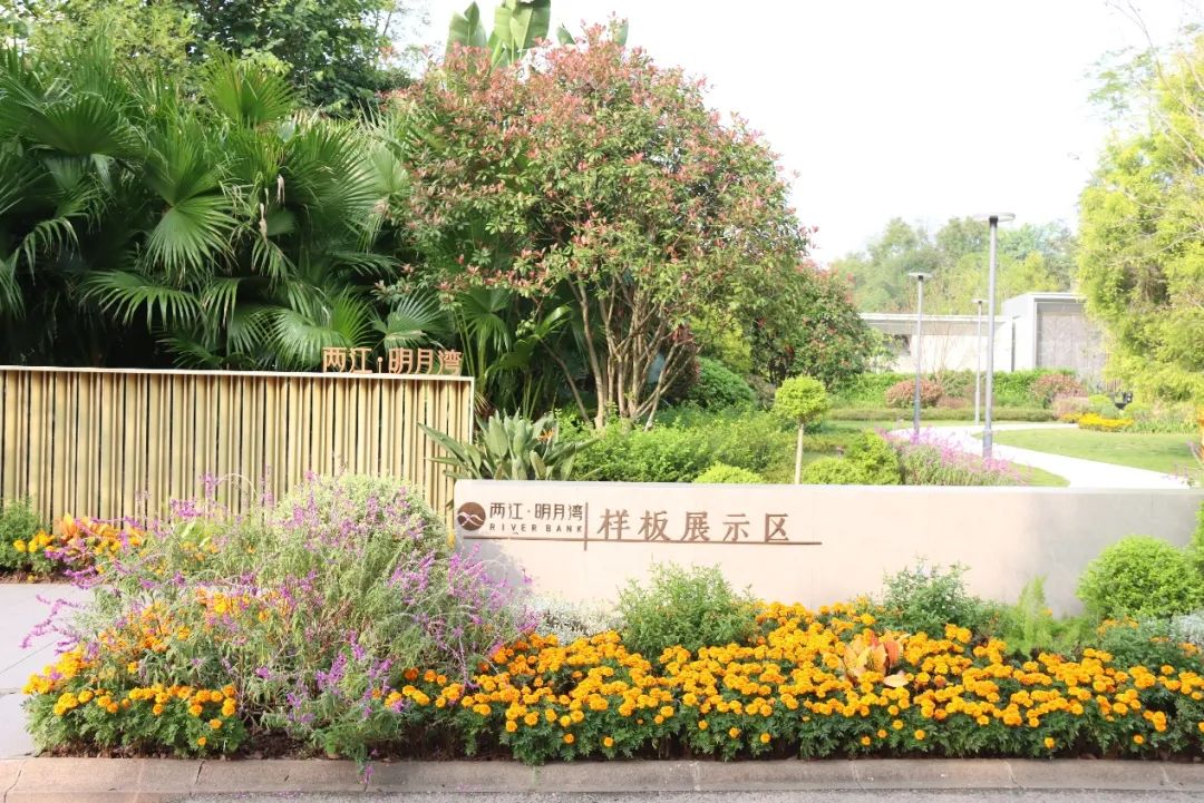 1732239014240379.jpg 微信圖片_20241122092525.jpg