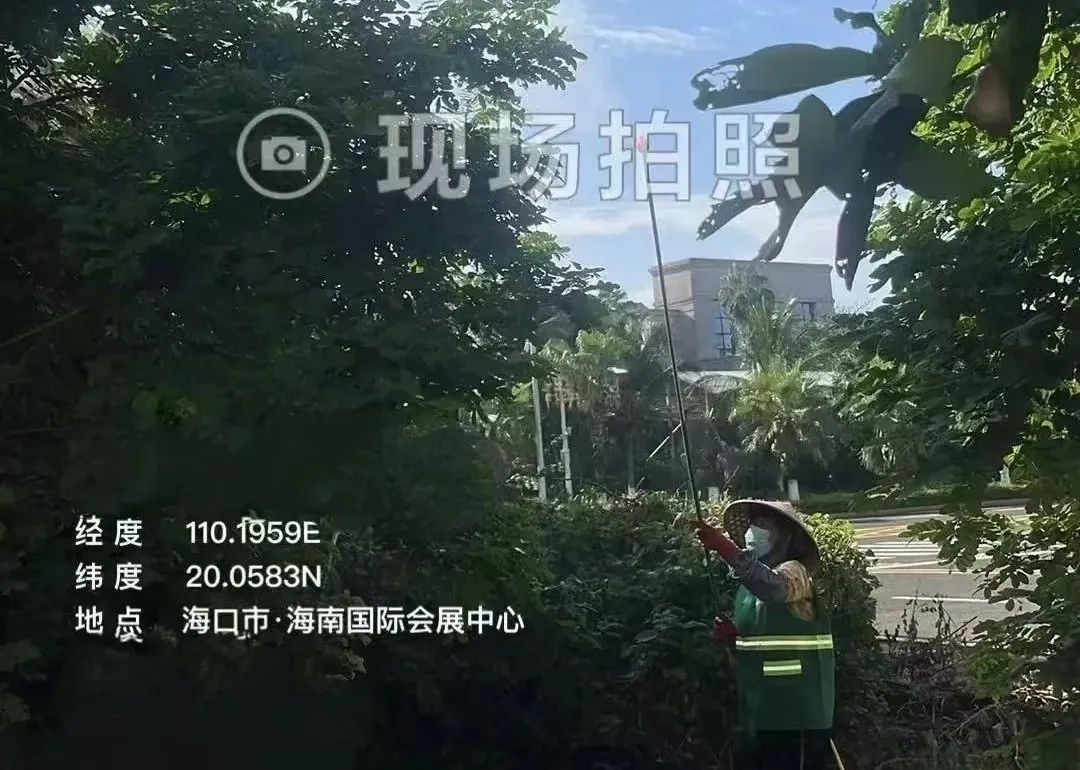 1732497151628160.png 4.png