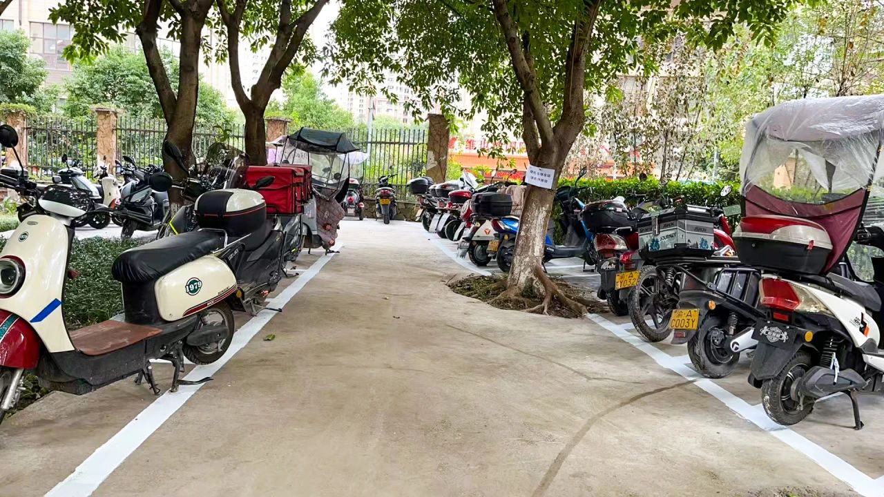 1733361882290744.jpg 2.jpg