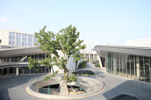 1737683556949827.png 微信圖片_20250124094752.png