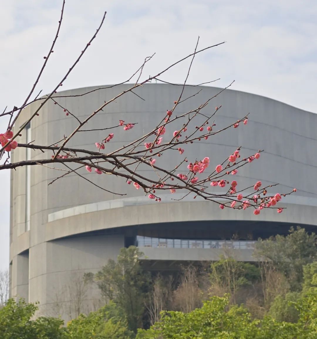 1738997220439893.jpg 67a46b63e4b083c4ab37c06d.jpg