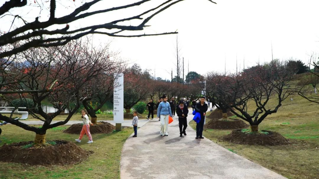 1738997368869728.jpg 微信圖片_20250208144856.jpg