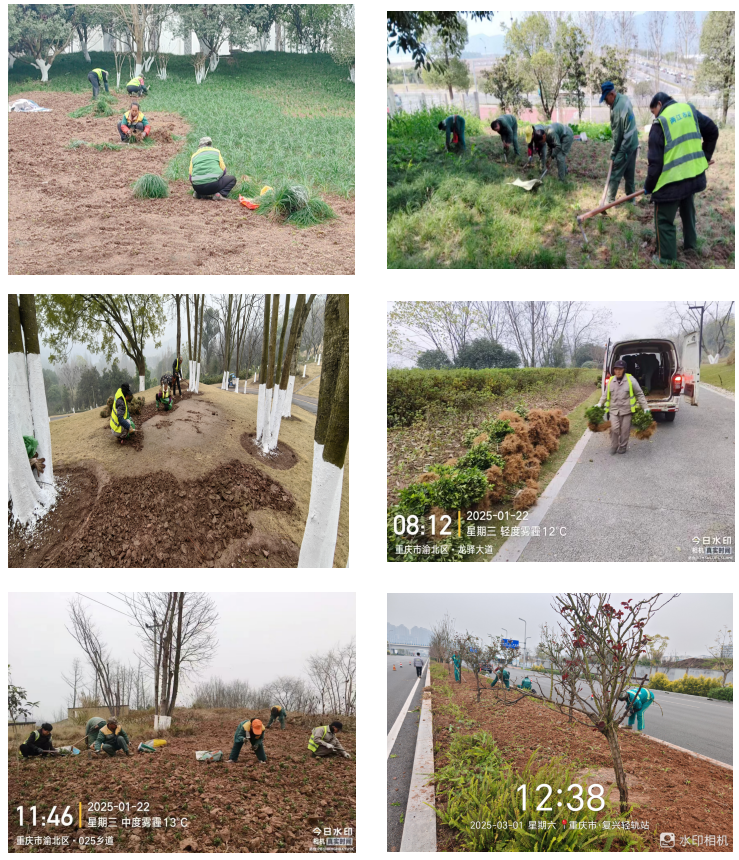 1741828905317911.png 微信圖片_20250313092132.png