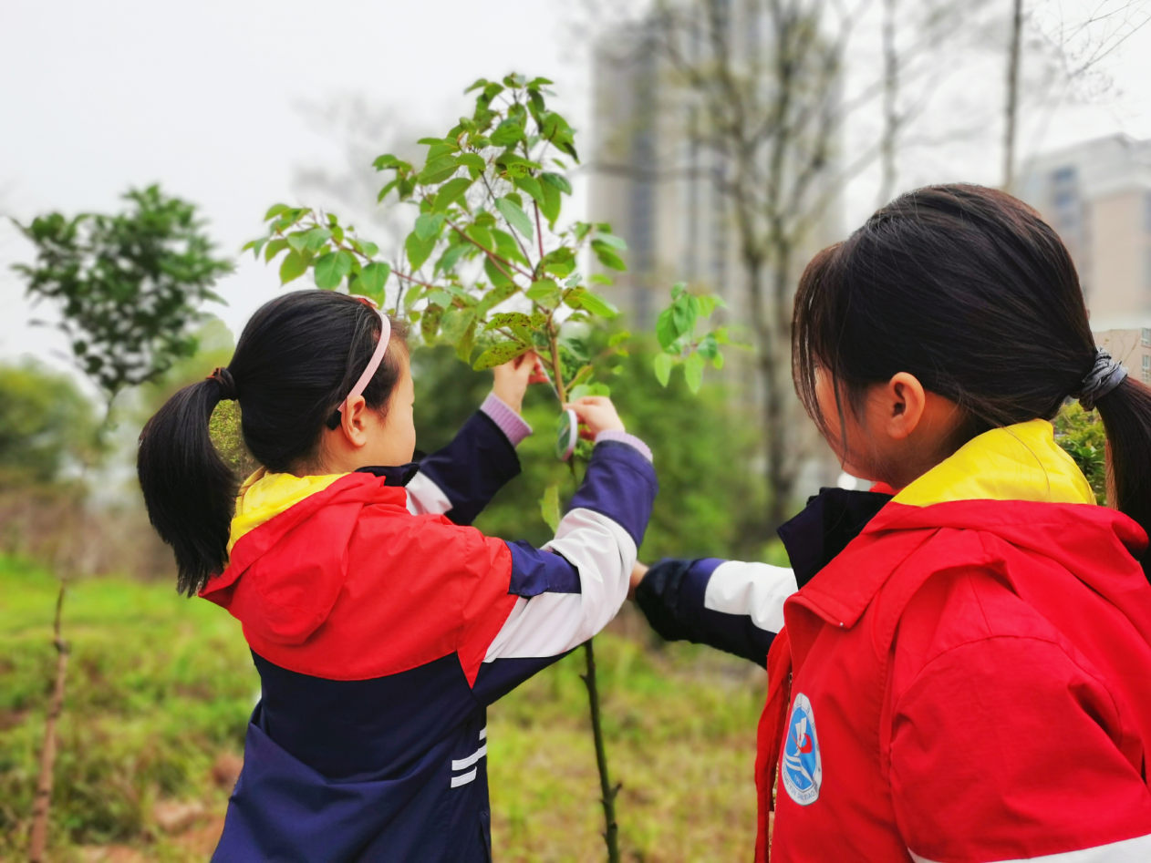 1741851483786500.png 3333.png