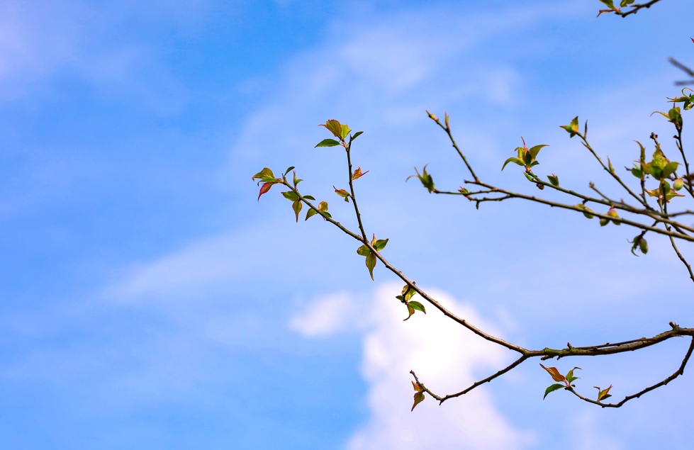 1742866577441409.png 微信圖片_20250325093416.png