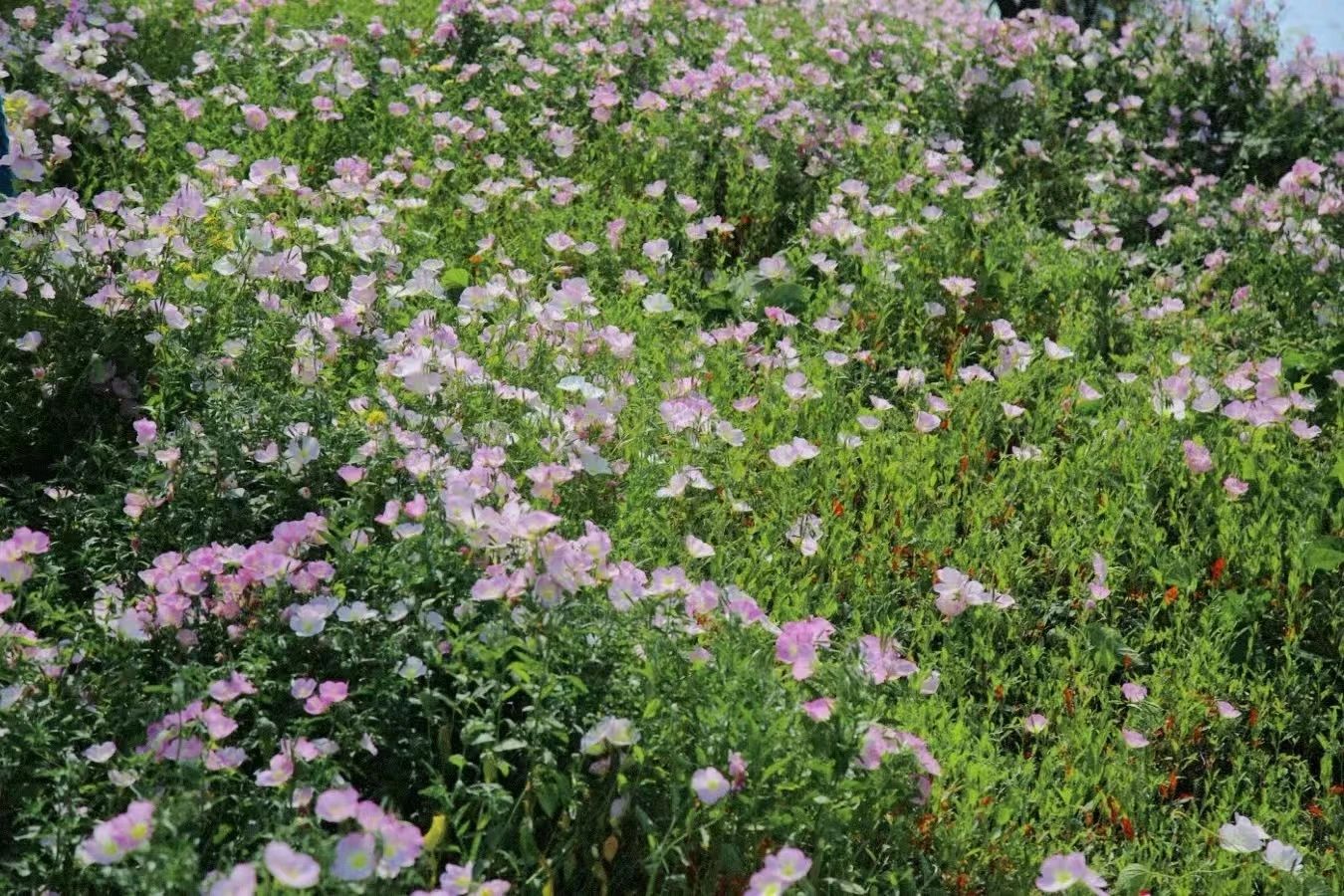 1745202281478124.jpg 微信圖片_2025-04-21_102248_126.jpg