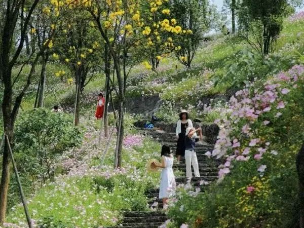 1745202302932545.jpg 微信圖片_2025-04-21_102301_582.jpg