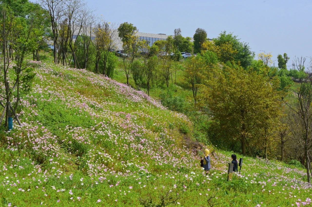 1745202430144318.jpg 微信圖片_2025-04-21_102353_461.jpg