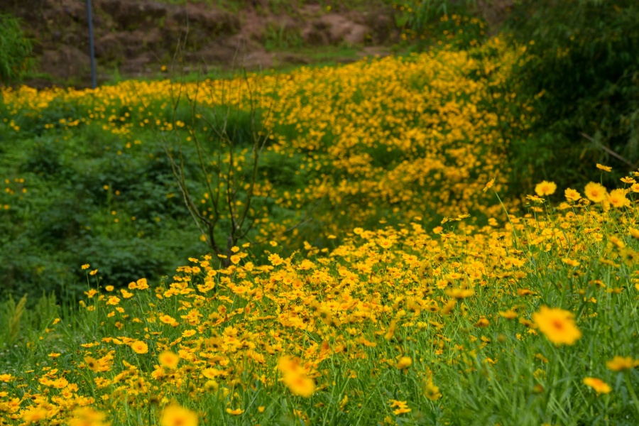 1747186620986611.jpeg 1.jpeg