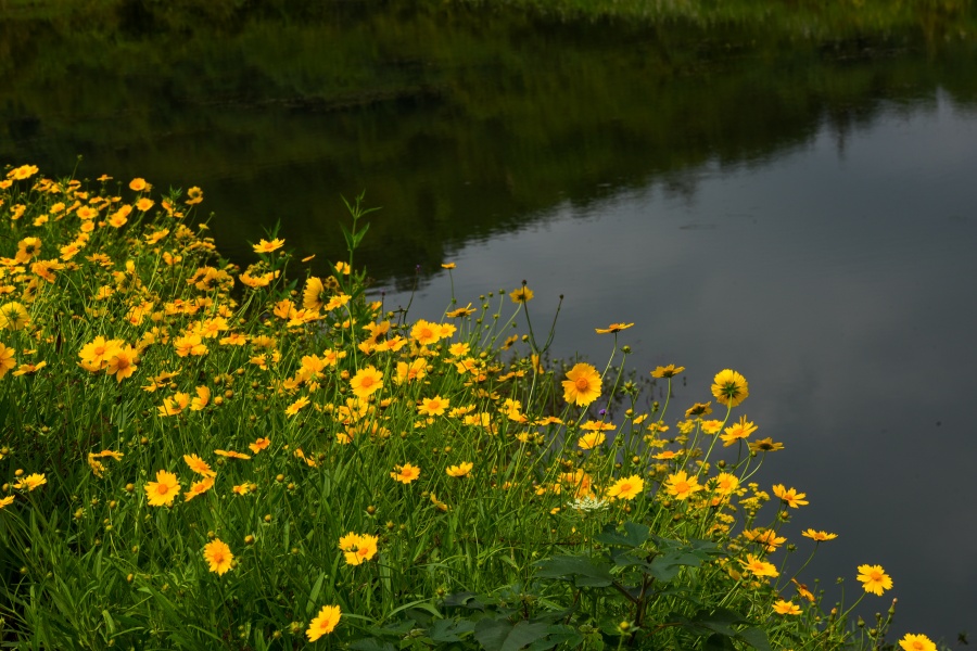 1747186637584462.jpeg 2.jpeg