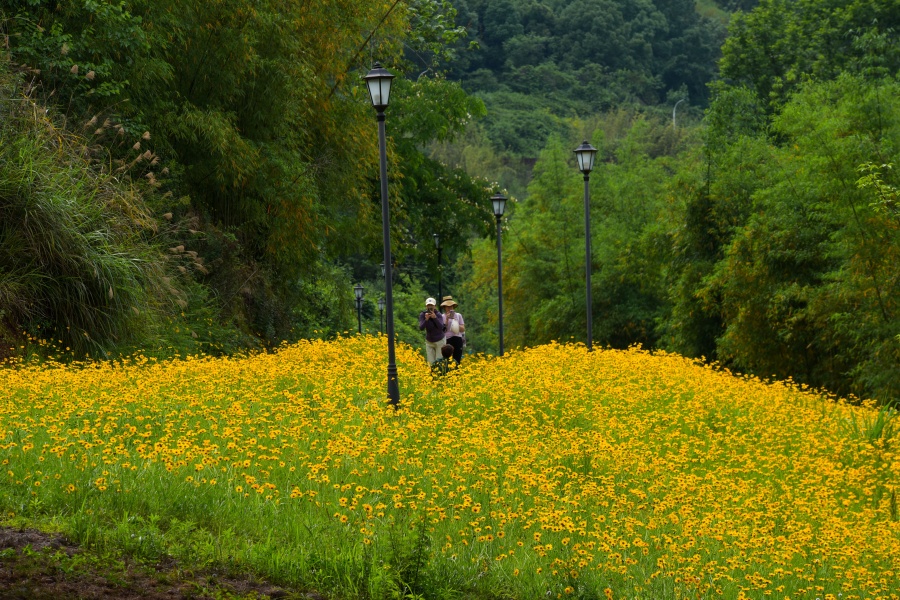 1747186646828962.jpeg 3.jpeg