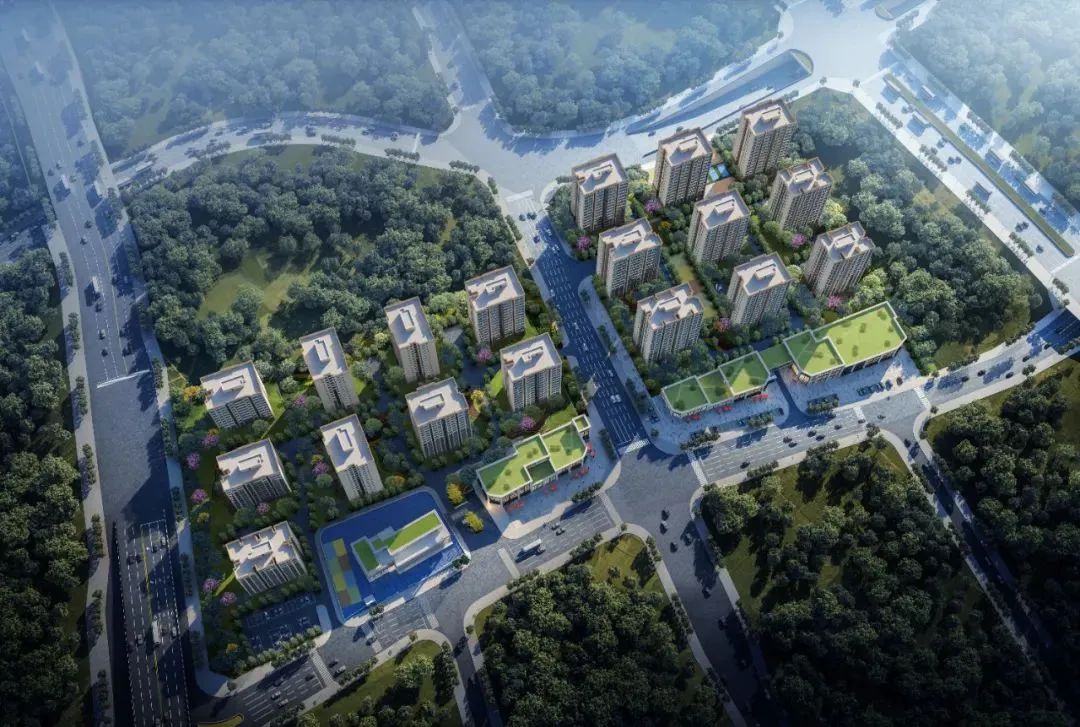 1752628515827980.jpg 640 (8).jpg