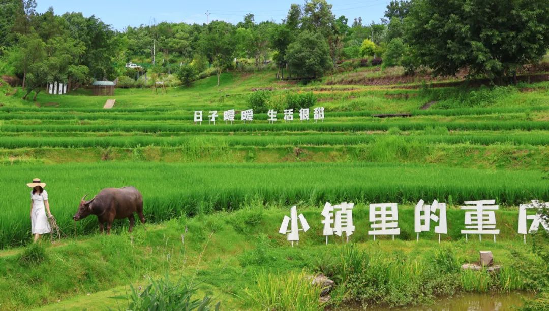 1753070859223309.jpg 微信圖片_20250721120437.jpg