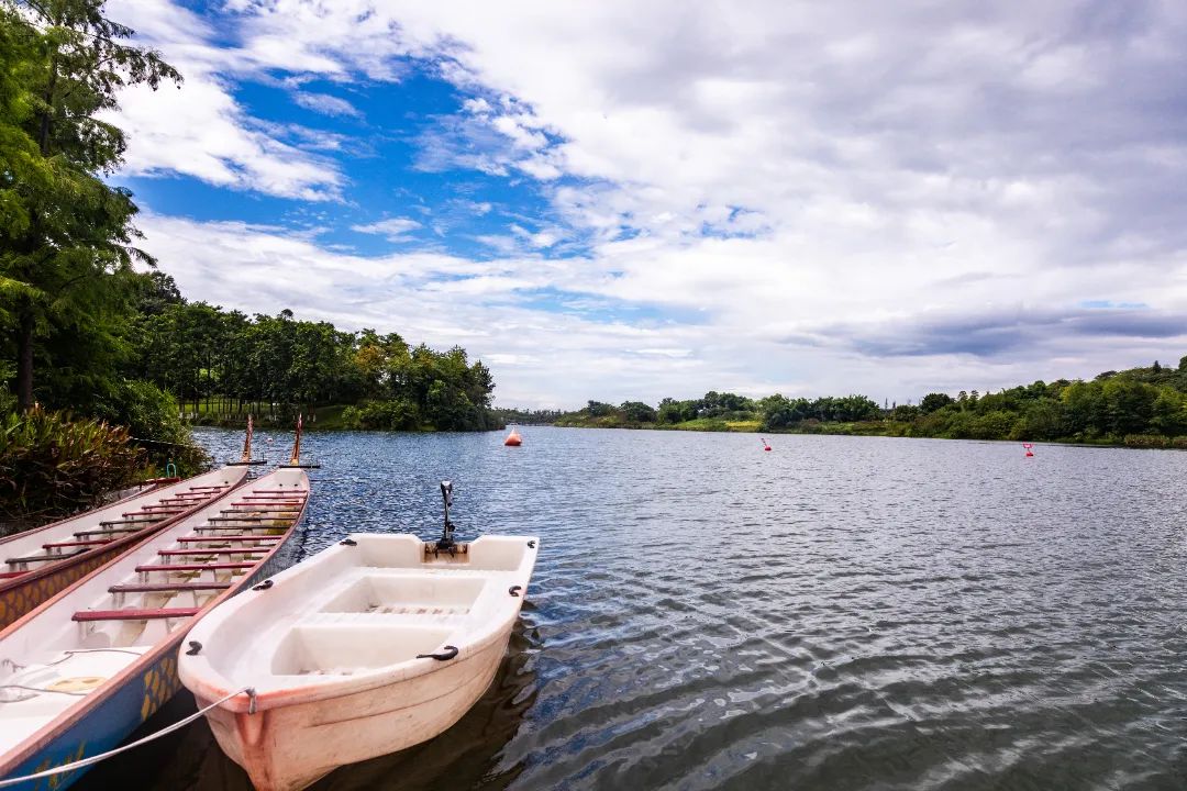 1755481003502597.jpg 微信圖片_20250818093603.jpg