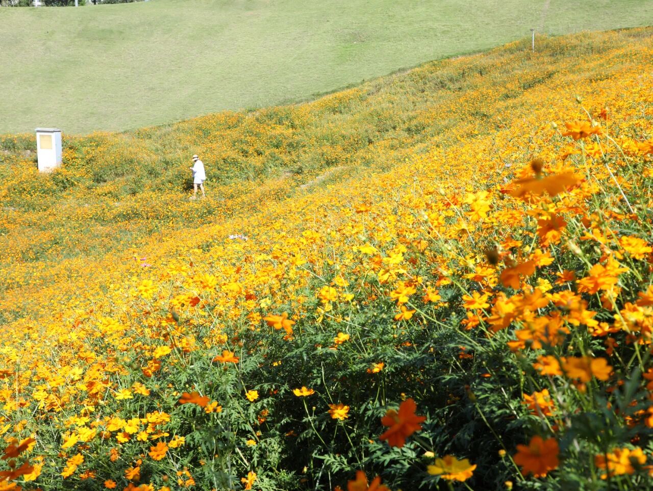 1760321489772845.jpg 微信圖片_2025-10-13_101045_427.jpg