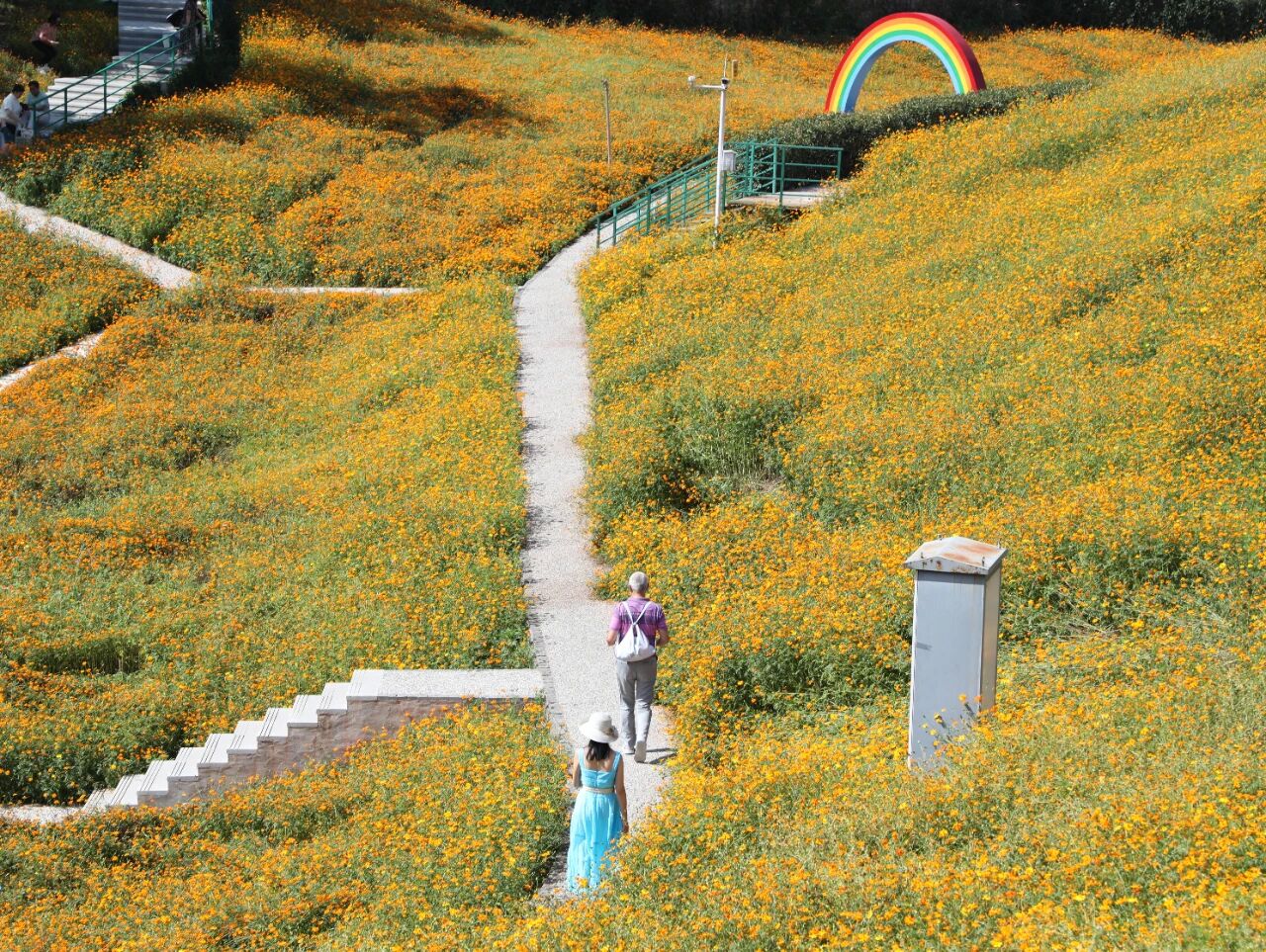 1760321542767884.jpg 微信圖片_2025-10-13_101059_813.jpg