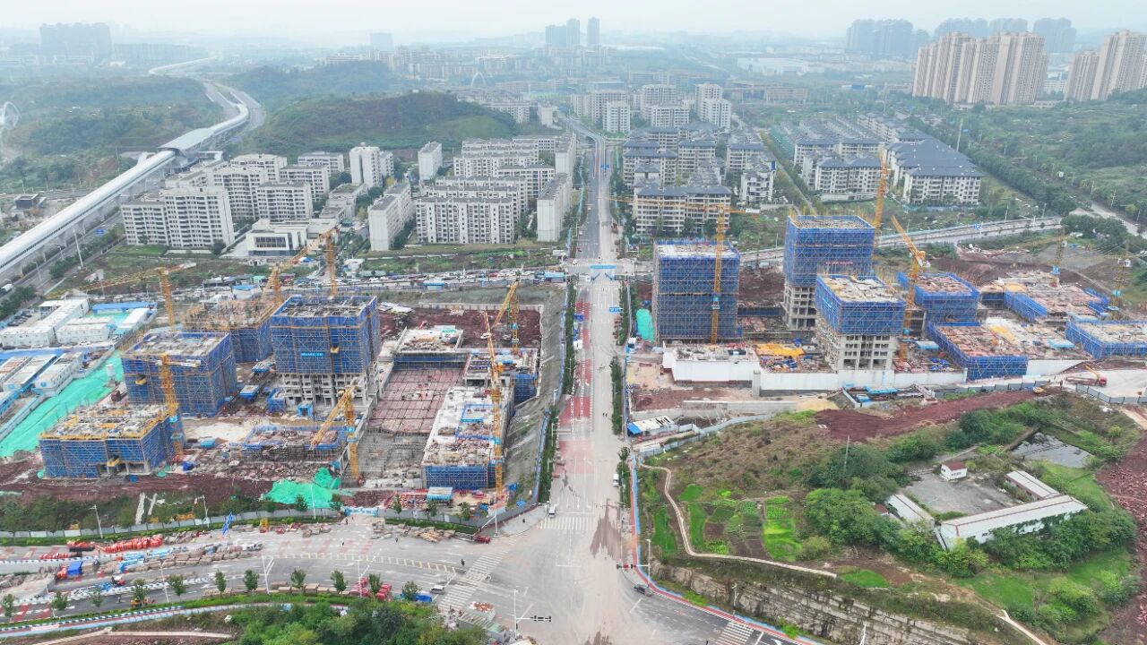 1763602554878024.jpg 微信圖片_2025-11-20_093516_045.jpg